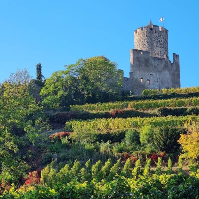 La Jolie Maison Bleue, Au Coeur De L'Alsace Kaysersberg-Vignoble Екстериор снимка