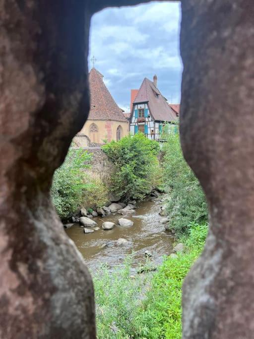 La Jolie Maison Bleue, Au Coeur De L'Alsace Kaysersberg-Vignoble Екстериор снимка