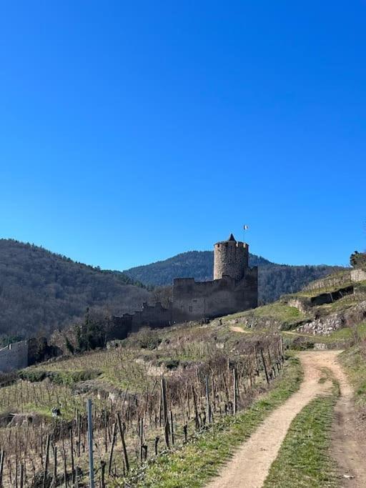 La Jolie Maison Bleue, Au Coeur De L'Alsace Kaysersberg-Vignoble Екстериор снимка